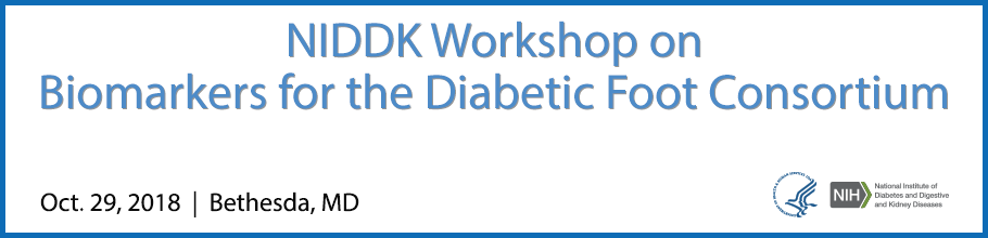2018 Diabetic Foot Consortium Biomarker Meeting banner.