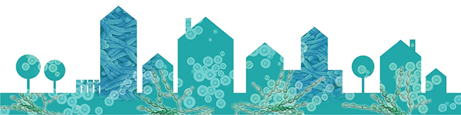 image: EPA Indoor Environments Division banner.