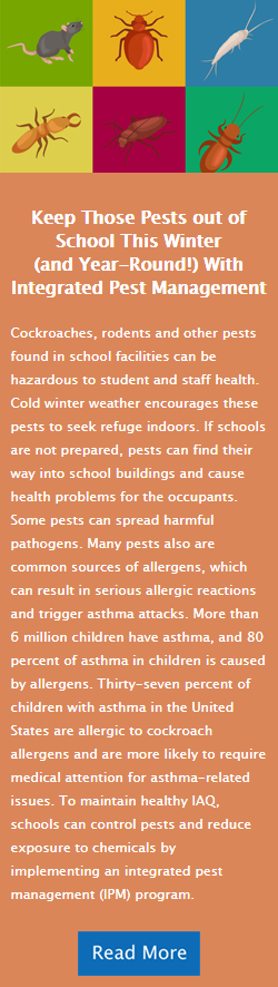 Keep Those Pests out of School This Winter (and Year-Round!) With Integrated Pest Management
